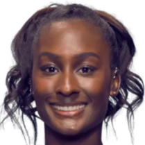 泰山队新一 泰山队新一